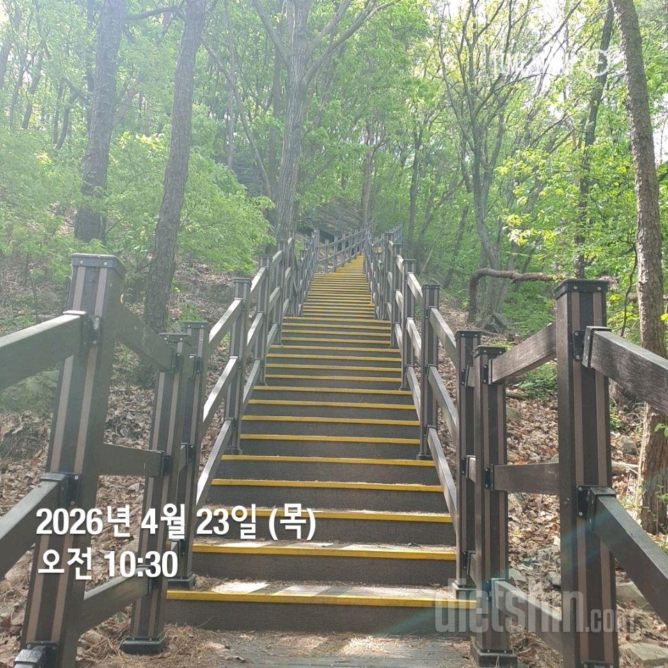 15일 계단 오르기43일차 성공!