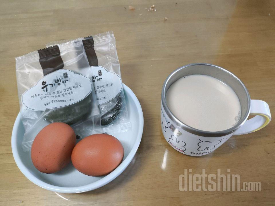 4월24일(마이옵티멀 준비기)