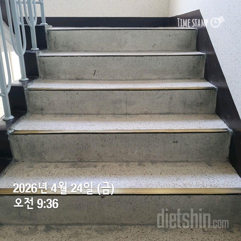 15일 계단 오르기44일차 성공!