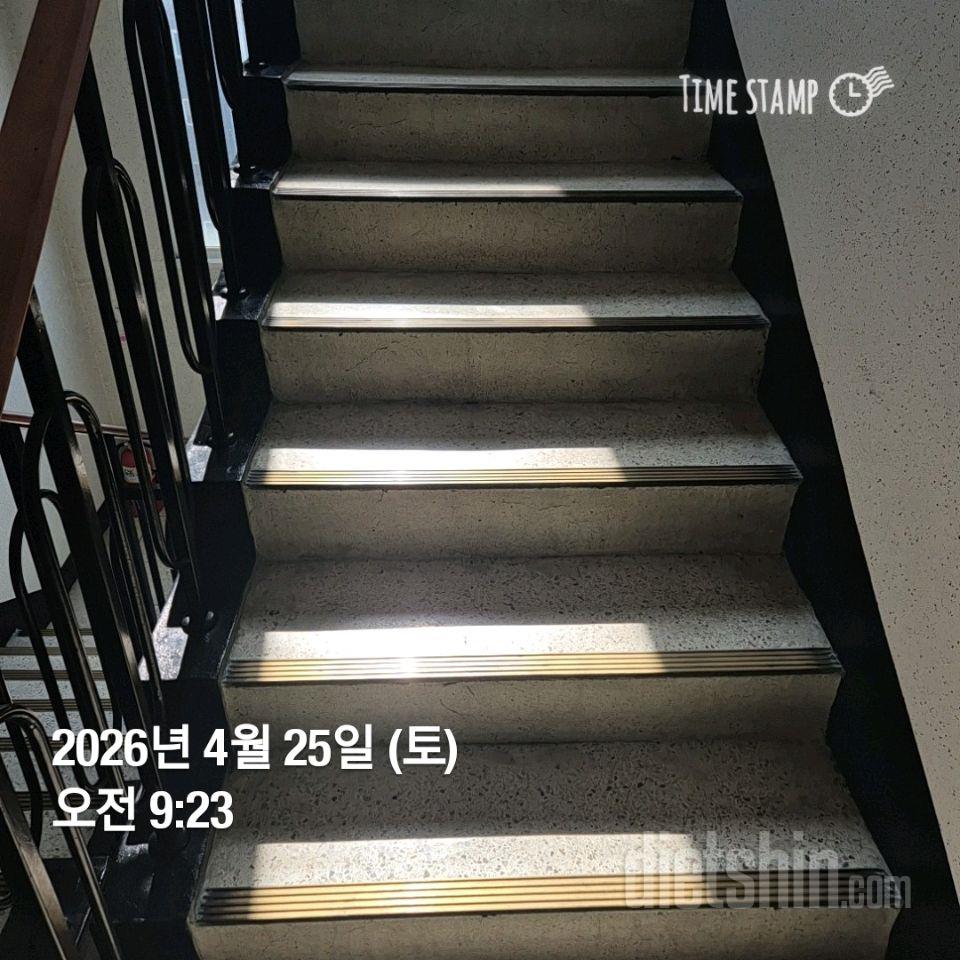 15일 계단 오르기77일차 성공!