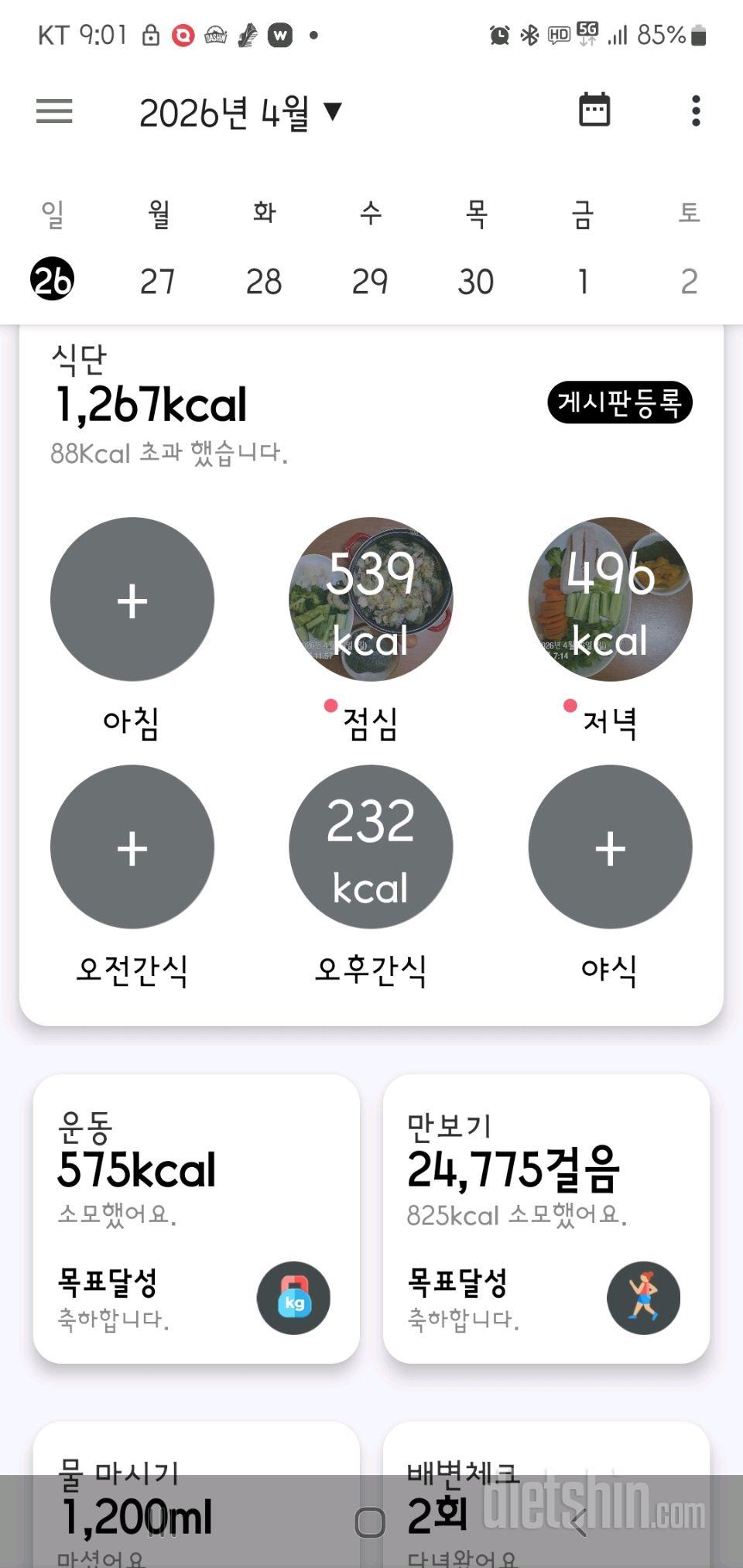 30일 만보 걷기45일차 성공!