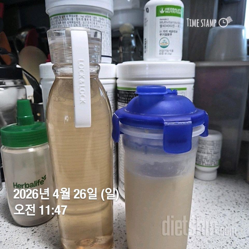 15일 3끼 식단 챌린지4일차 성공!