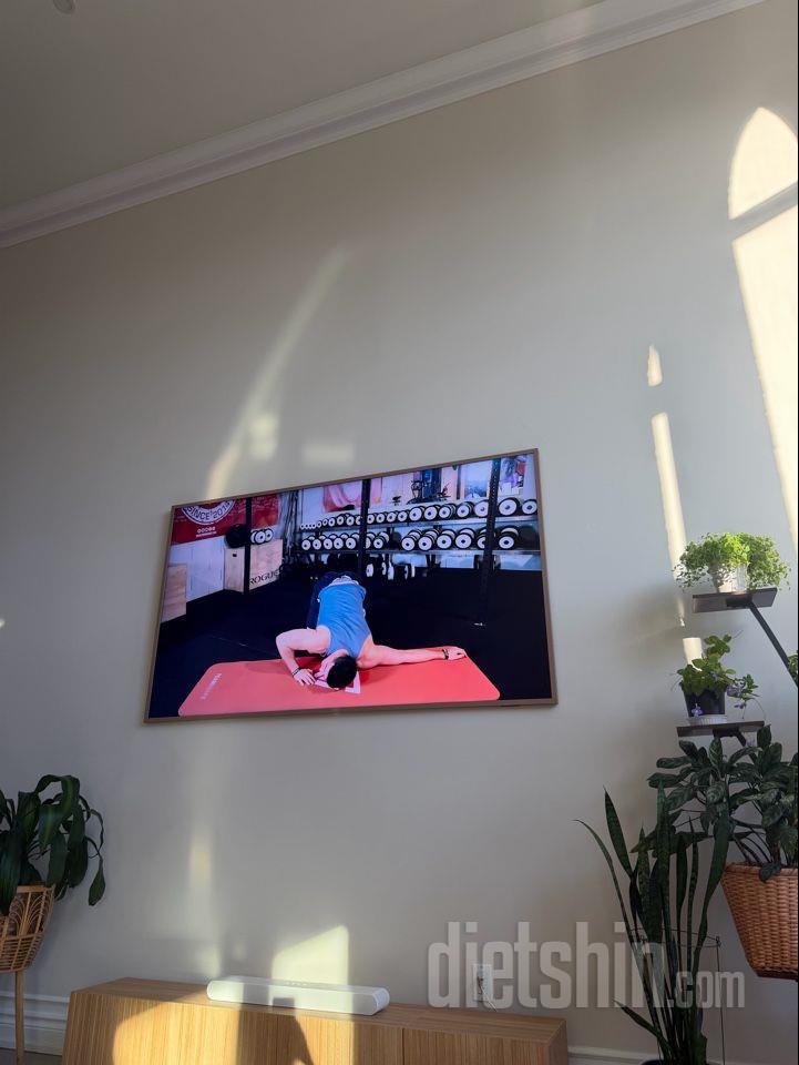 30일 아침 스트레칭2일차 성공!