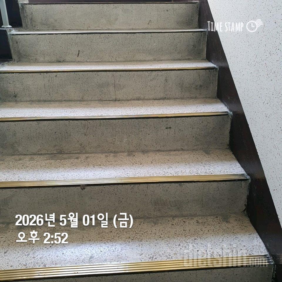 15일 계단 오르기51일차 성공!