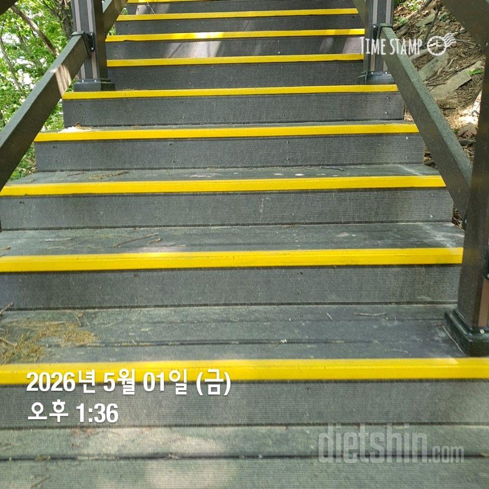 15일 계단 오르기51일차 성공!