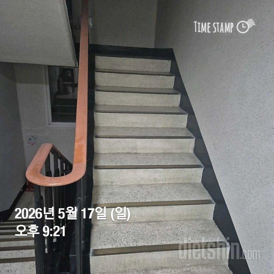 15일 계단 오르기99일차 성공!