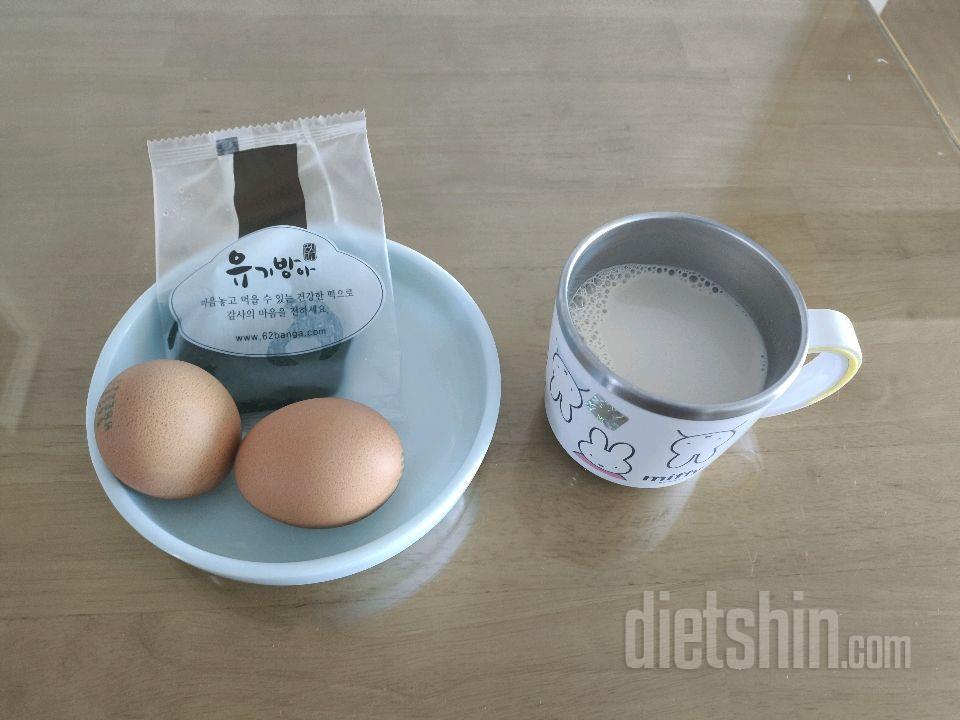 5월18일(마이옵티멀 준비기)