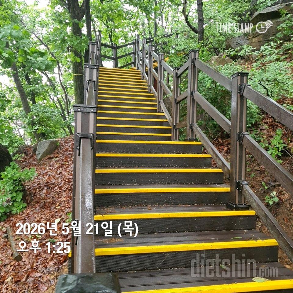 15일 계단 오르기51일차 성공!