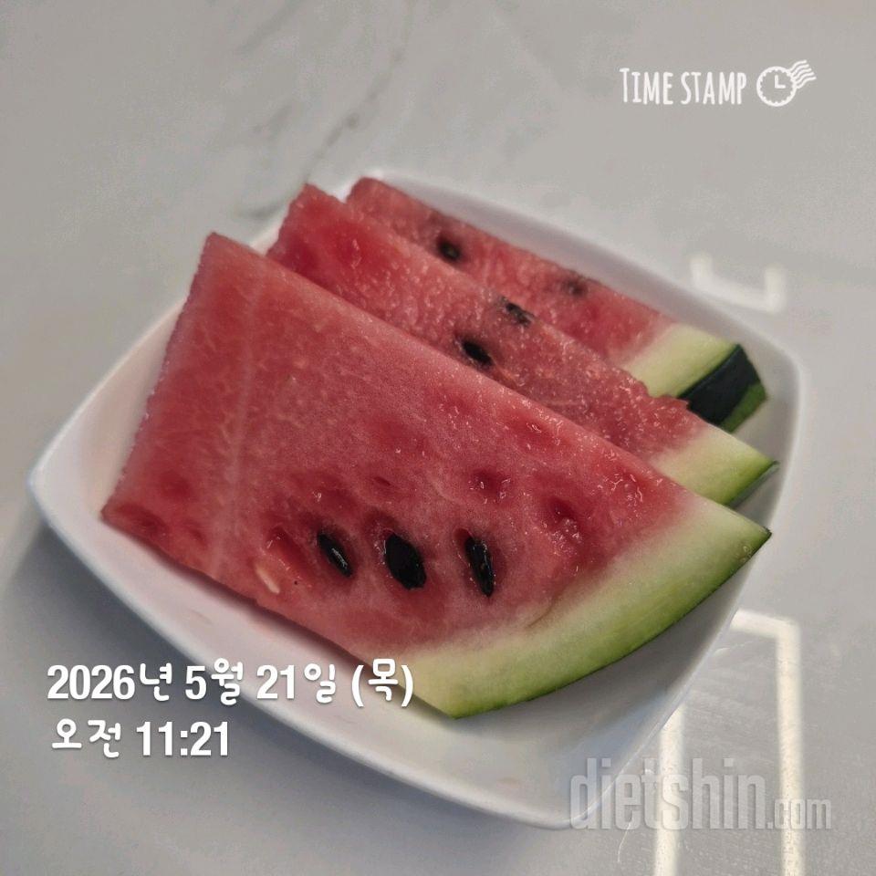 5월21일 목