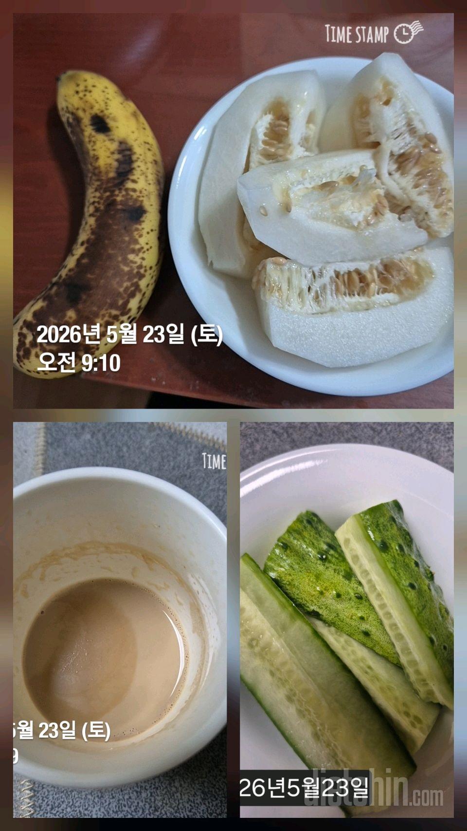 7일 하루 1끼 야채먹기156일차 성공!