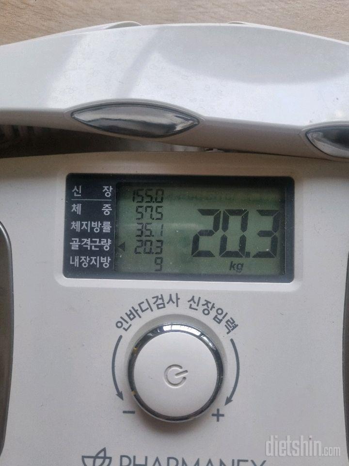7일 아침 몸무게 재기3일차 성공!