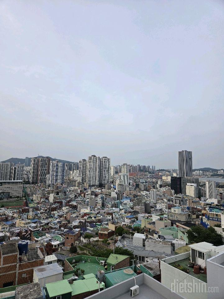 작심142