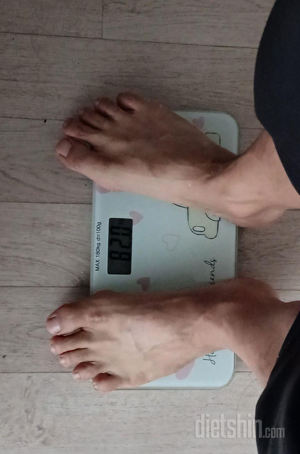 간이 올리브간 수준이라 뱃살이 미끄덩