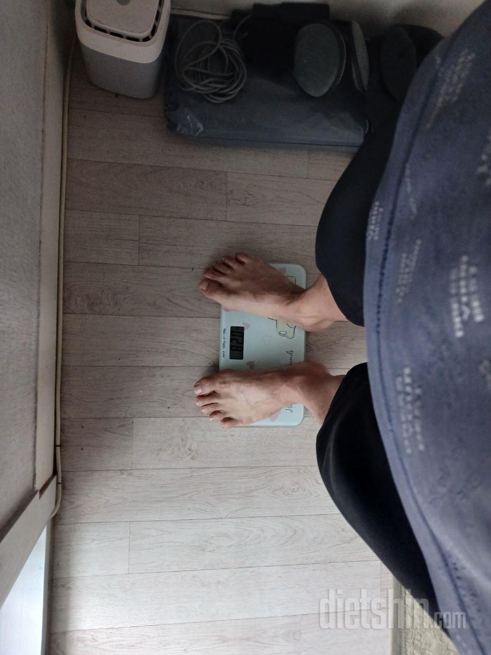 간이 올리브간 수준이라 뱃살이 미끄덩
