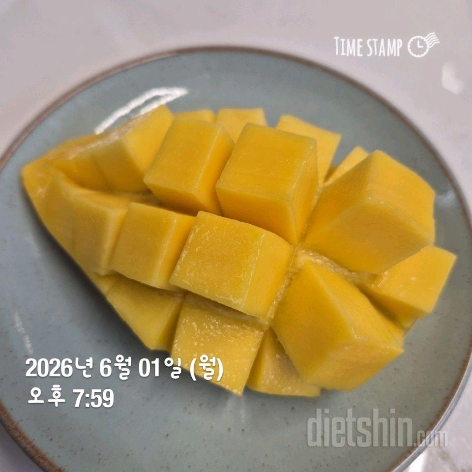6월1일 월