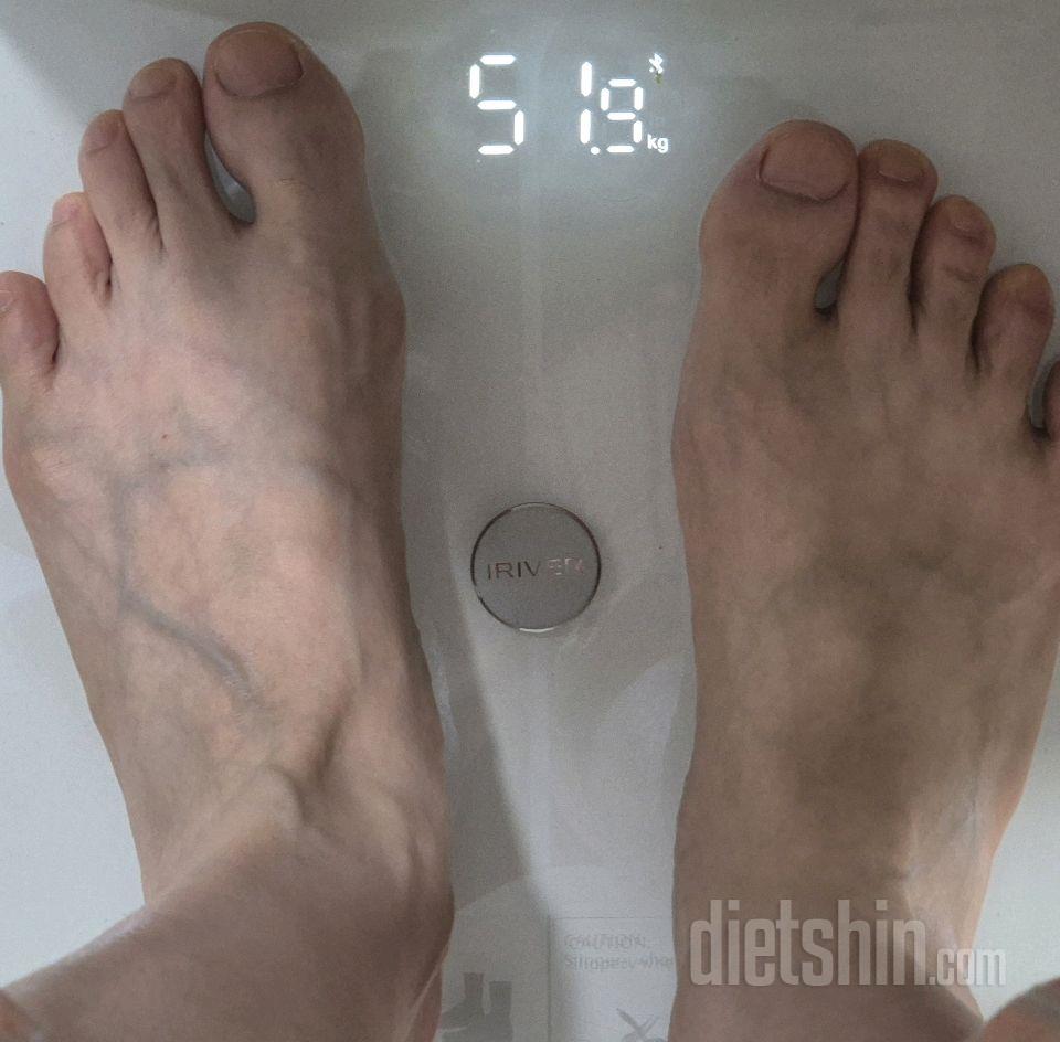 7일 아침 몸무게 재기185일차 성공!
