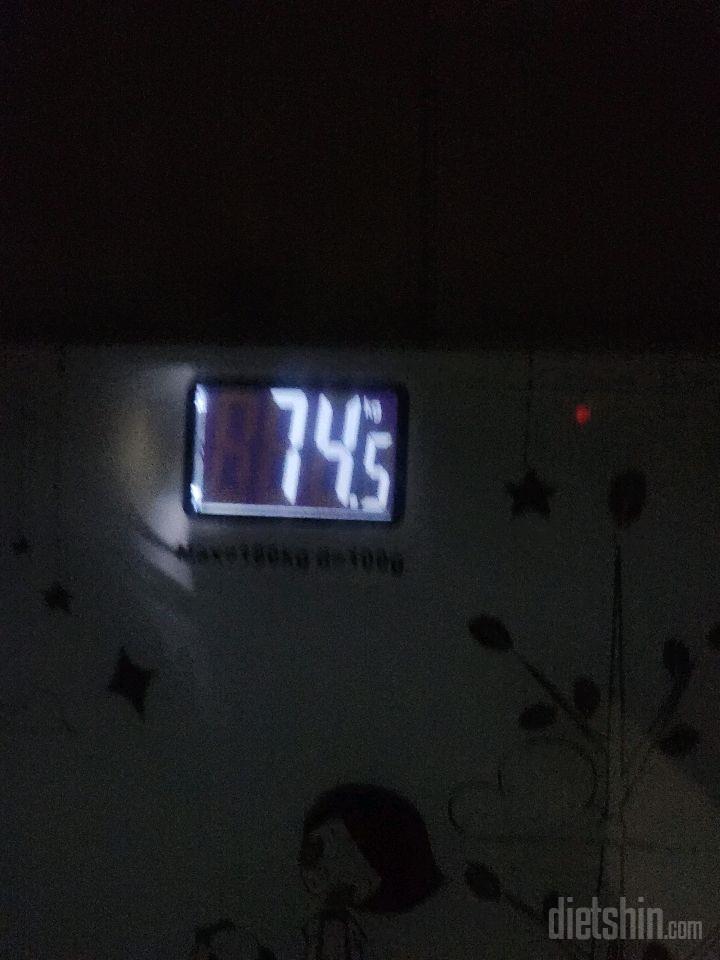 언니집 간 핑계로 이틀폭식하기..