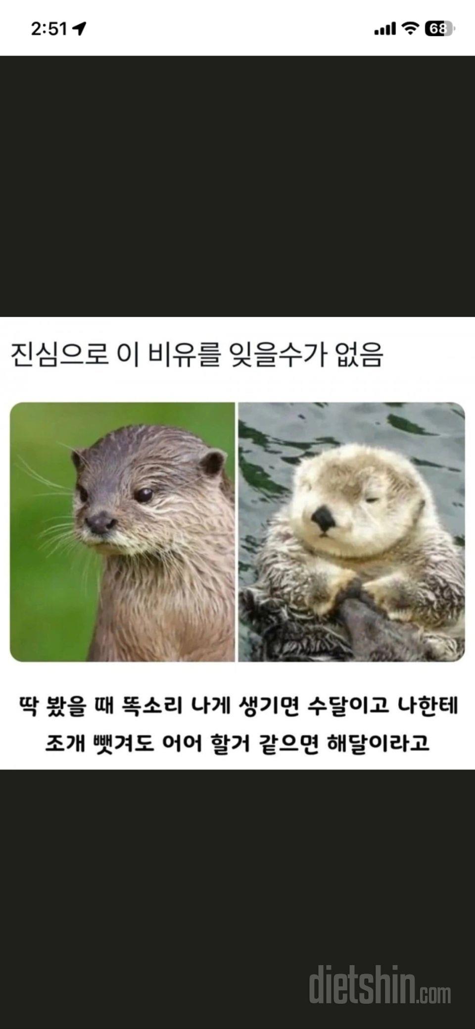 주 3회정도 저녁으로 다신현미밥상 도