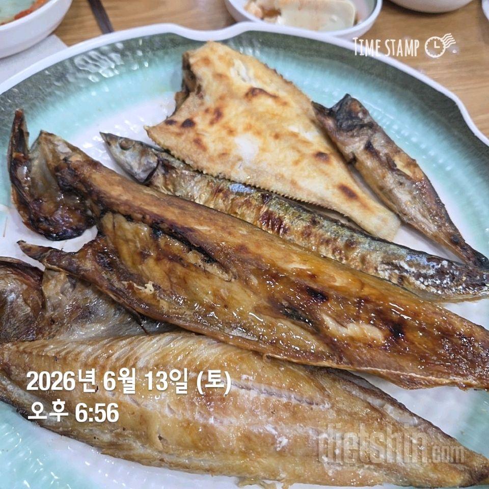 112~113일차