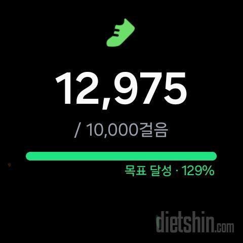 30일 만보 걷기9일차 성공!