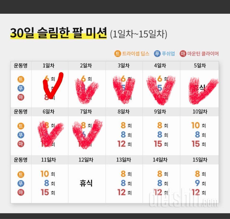 30일 슬림한 팔7일차 성공!