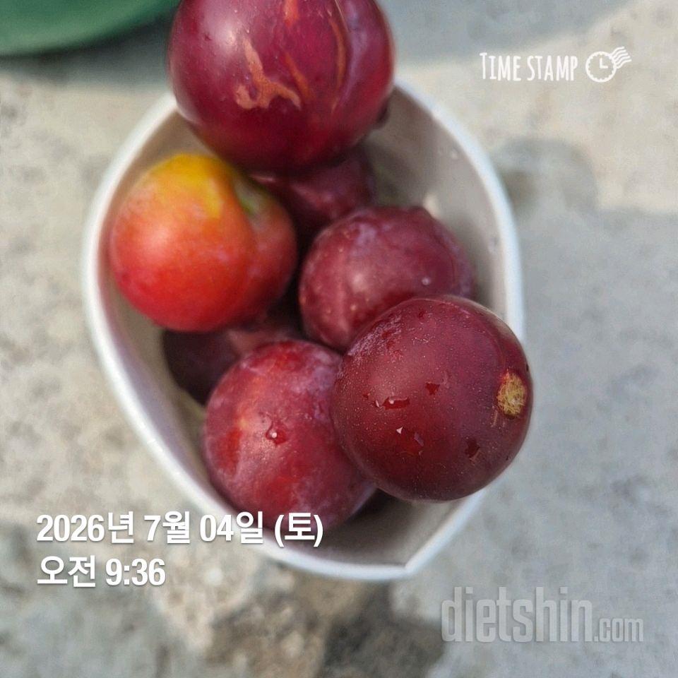 30일 아침먹기216일차 성공!