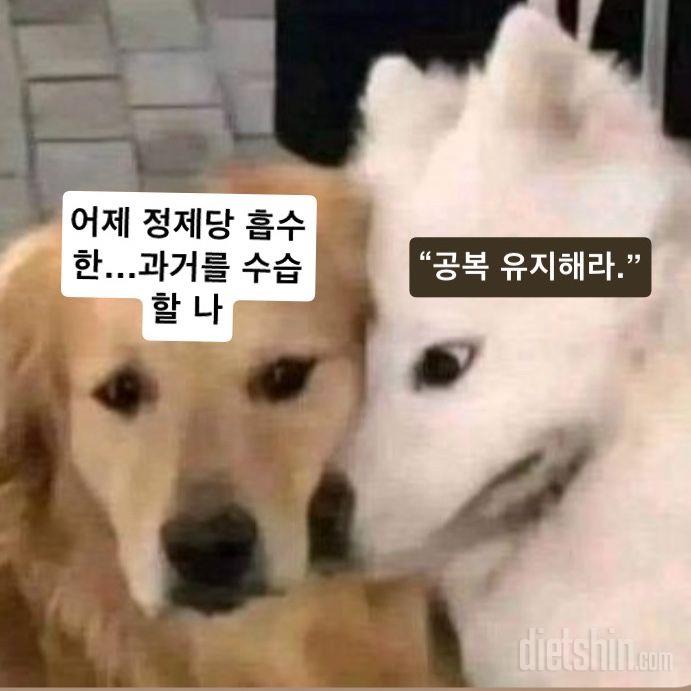 7/23 - 🏈하루 공복 유지🏈