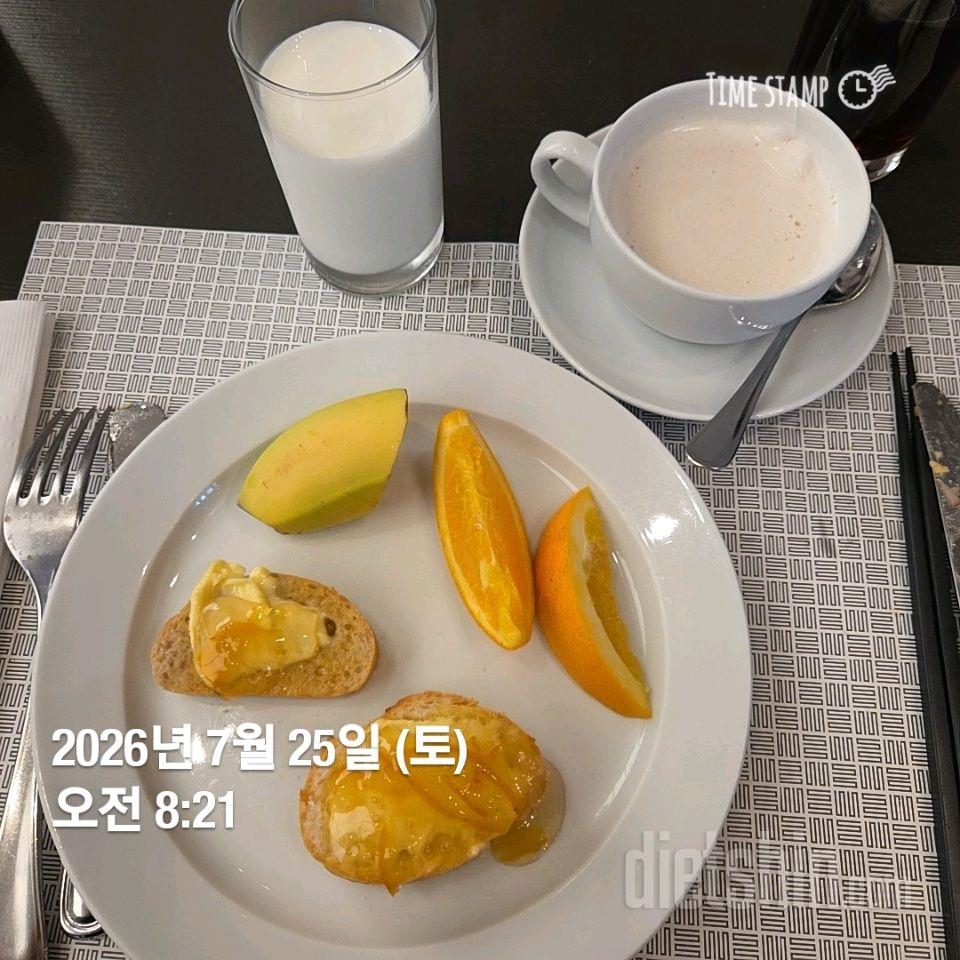 작심203