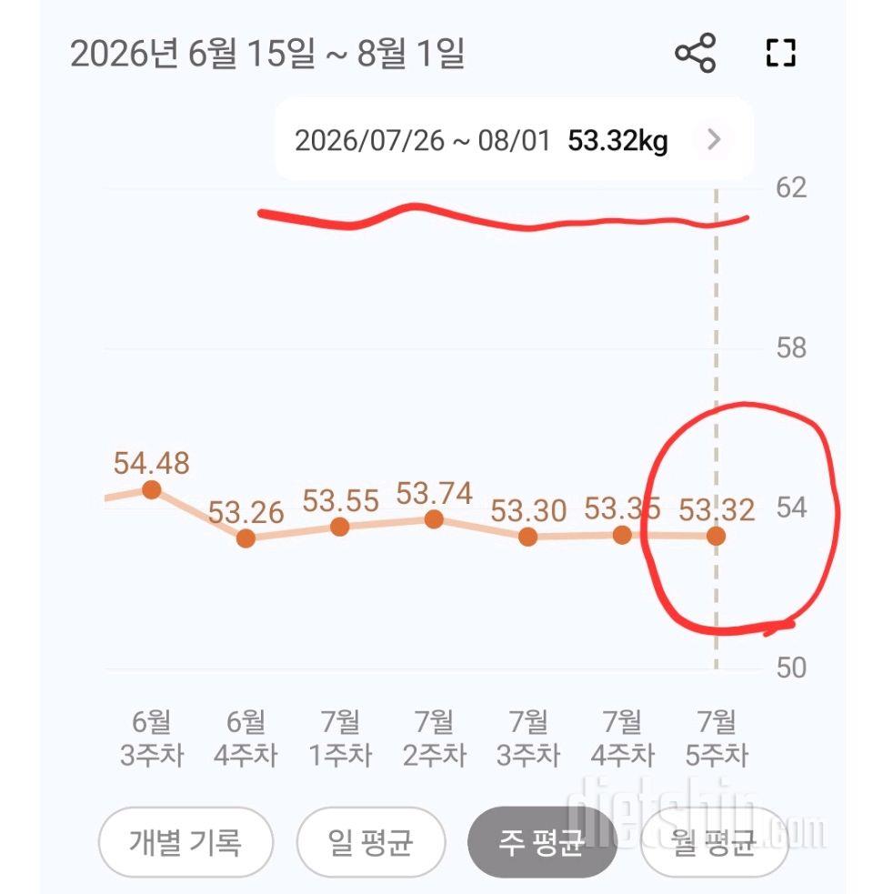 8월 1일 공체