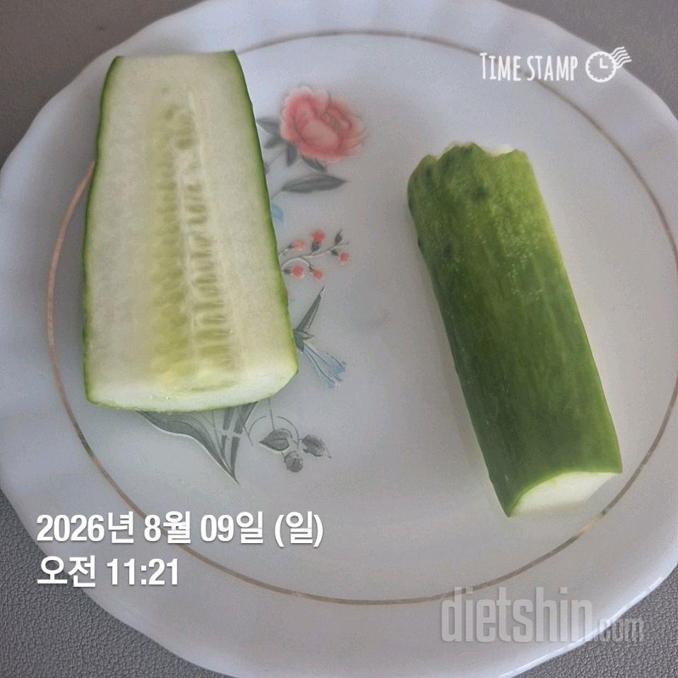 7일 하루 1끼 야채먹기206일차 성공!