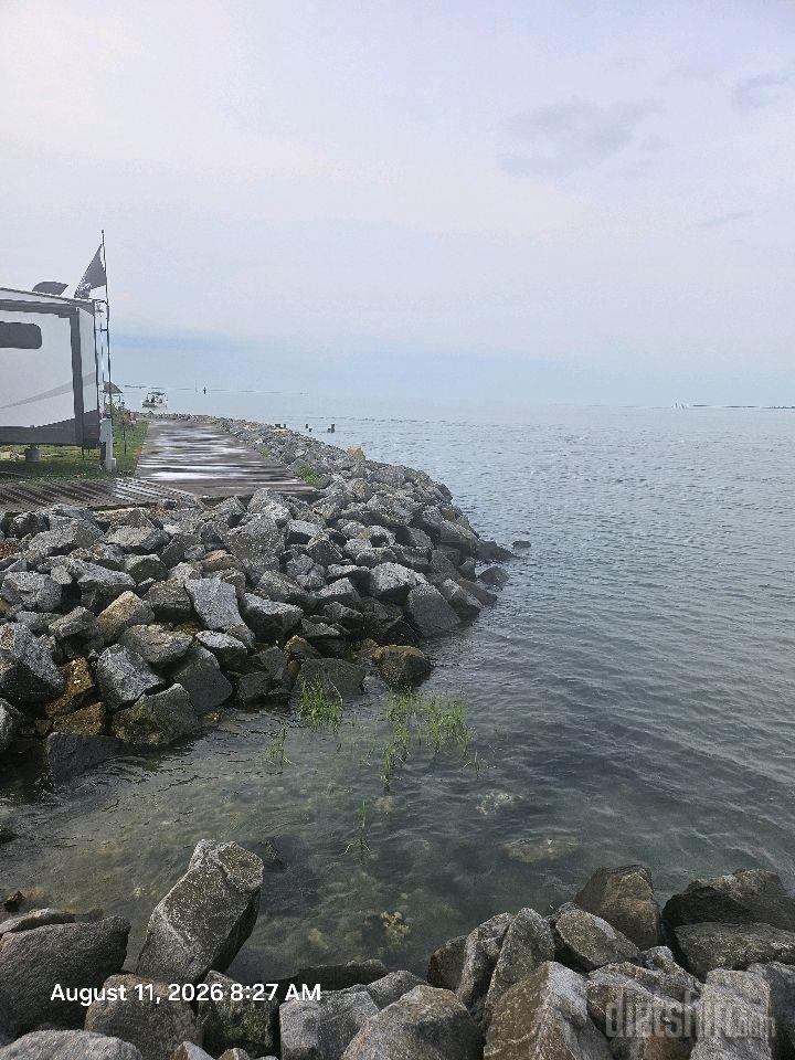8/11 Tue.