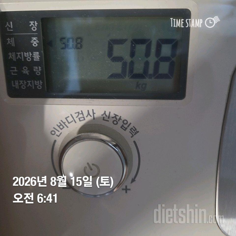 8월15일