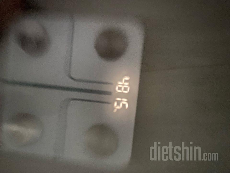 7일 아침 몸무게 재기12일차 성공!