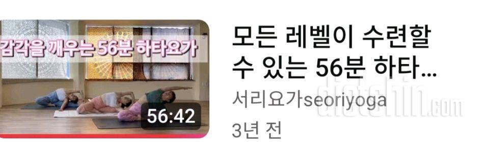 8월18일(마이옵티멀 유지기)