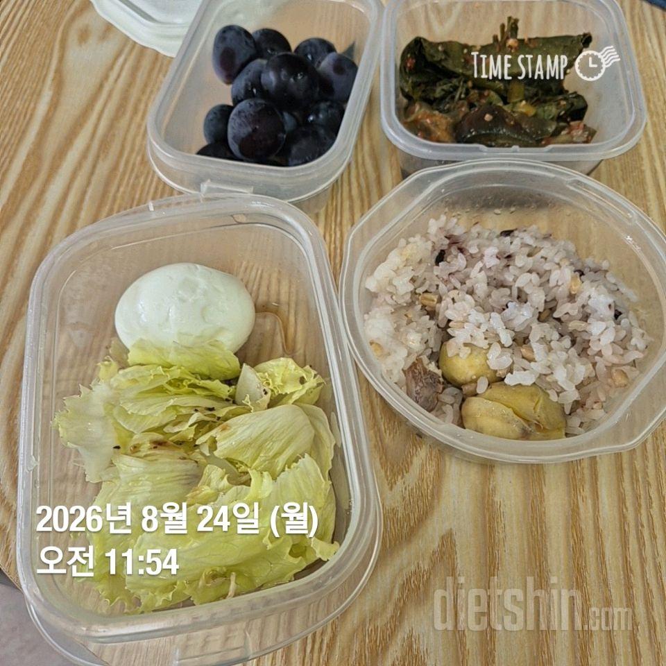 15일 3끼 식단 챌린지115일차 성공!