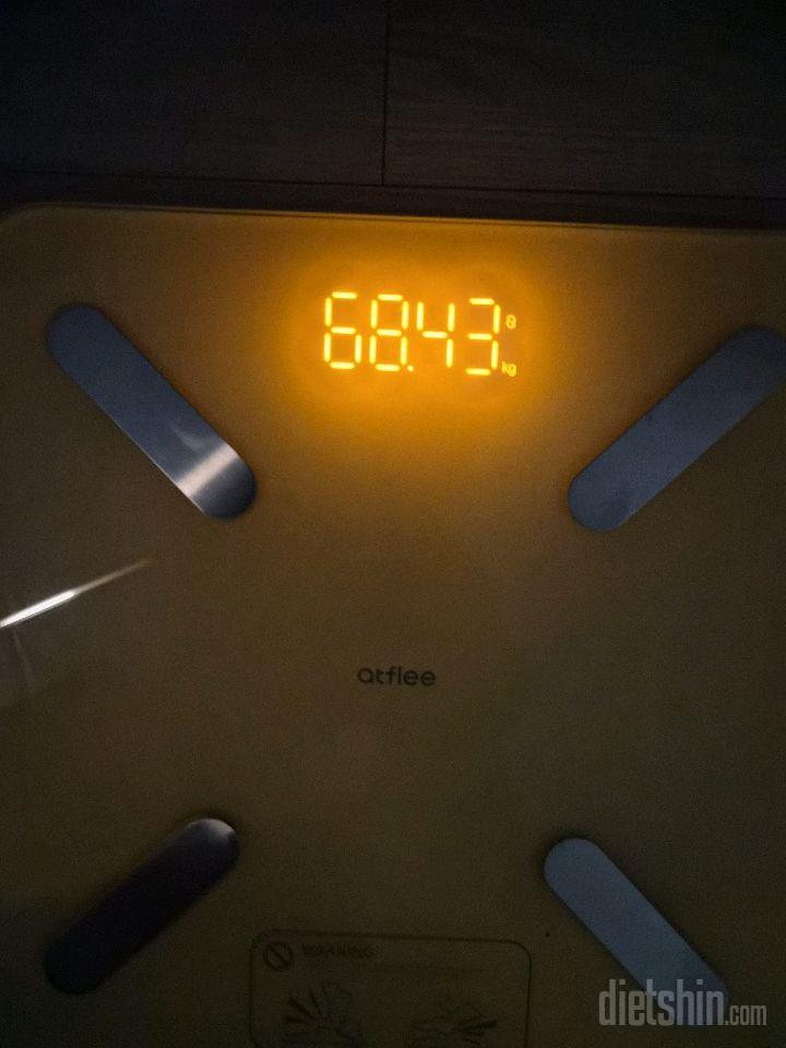 1일차