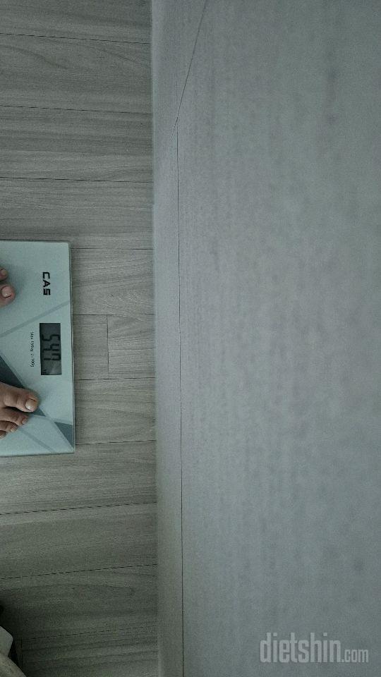 4일차