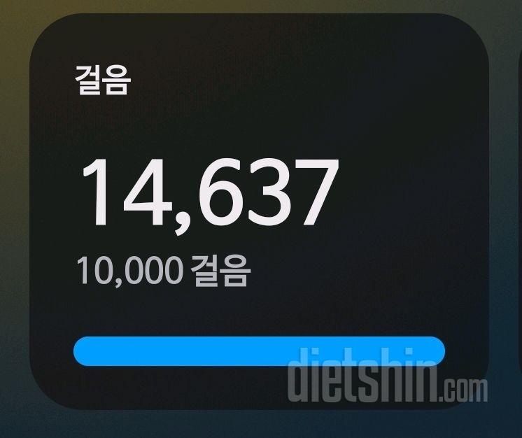 30일 만보 걷기33일차 성공!