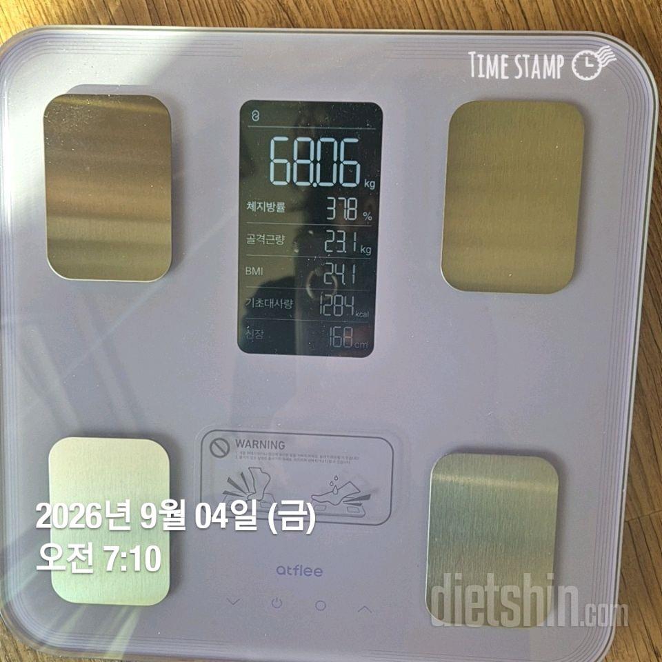 7일 아침 몸무게 재기231일차 성공!