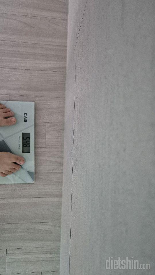 6일차