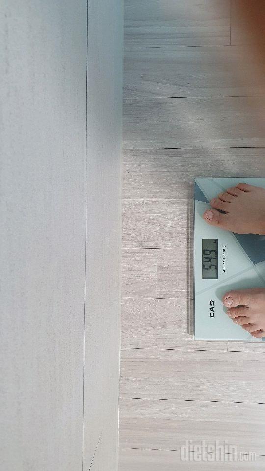 7일차