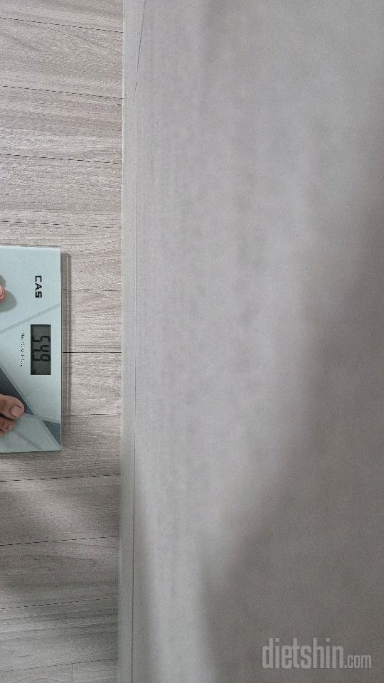 10일차