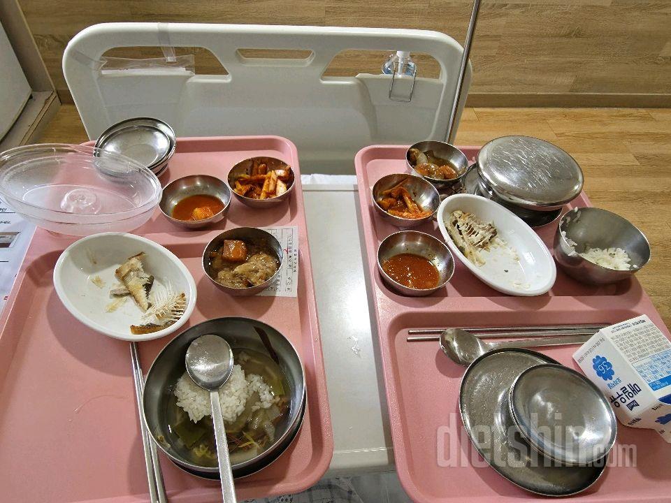 7일 하루 1끼 야채먹기47일차 성공!