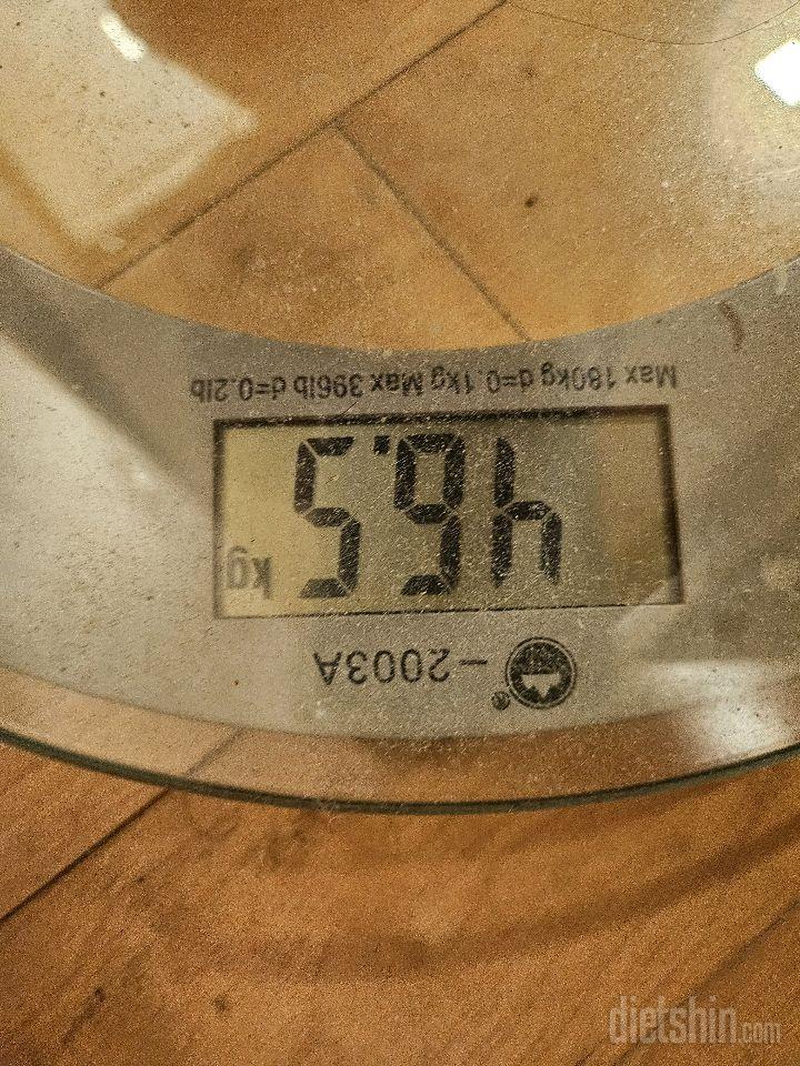 7일 아침 몸무게 재기281일차 성공!