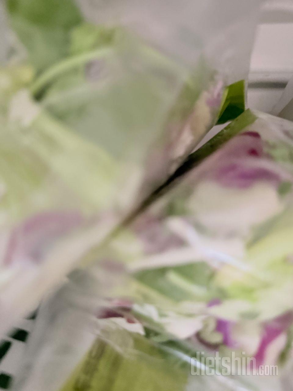 연어사다가 생연어 넣고 샐러드도 만들