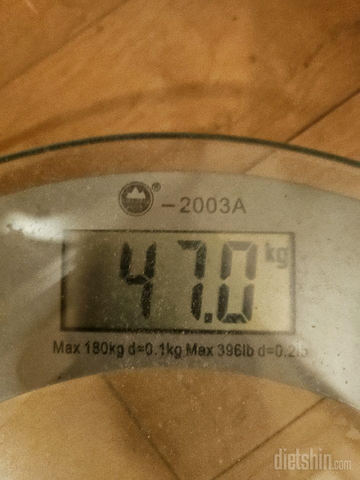 7일 아침 몸무게 재기290일차 성공!