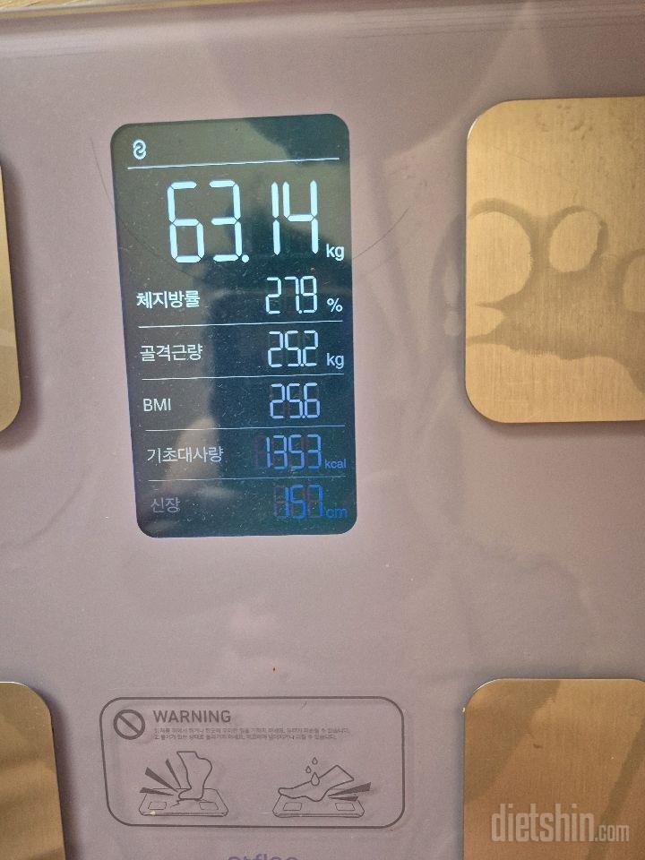 7일 아침 몸무게 재기10일차 성공!