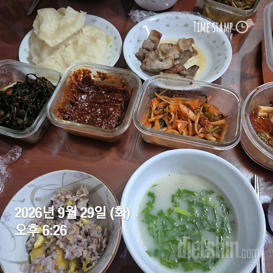 7일 하루 1끼 야채먹기236일차 성공!