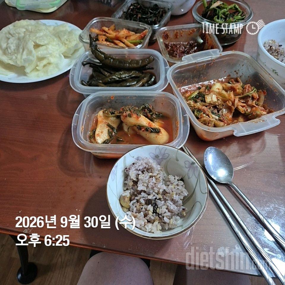 7일 하루 1끼 야채먹기237일차 성공!