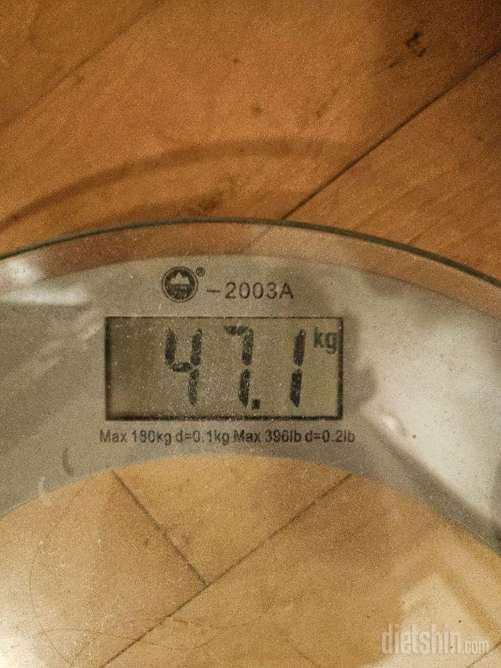 7일 아침 몸무게 재기296일차 성공!